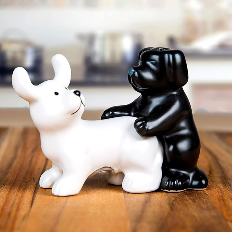 Korean Kitchen Gadgets - Zwart-wit keramische honden zout- en peperstrooier