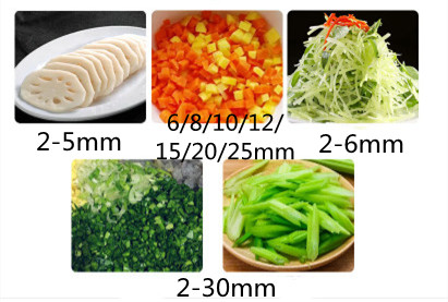 Automatische groente- en aarda - Vegetable Chopper recensie en prijs
